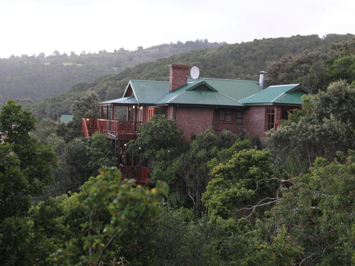 Luxury Studio - Panoramic Ocean Views - Fast Wifi Wildernis Exterior foto